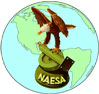 NAESAI-logo.jpg
